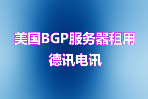 怎么选择高性价比的香港高防站群主机方案？